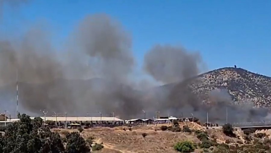 Incendio forestal en Villa Alemana se encuentra "parcialmente contenido": 0,5 hectáreas han sido consumidas