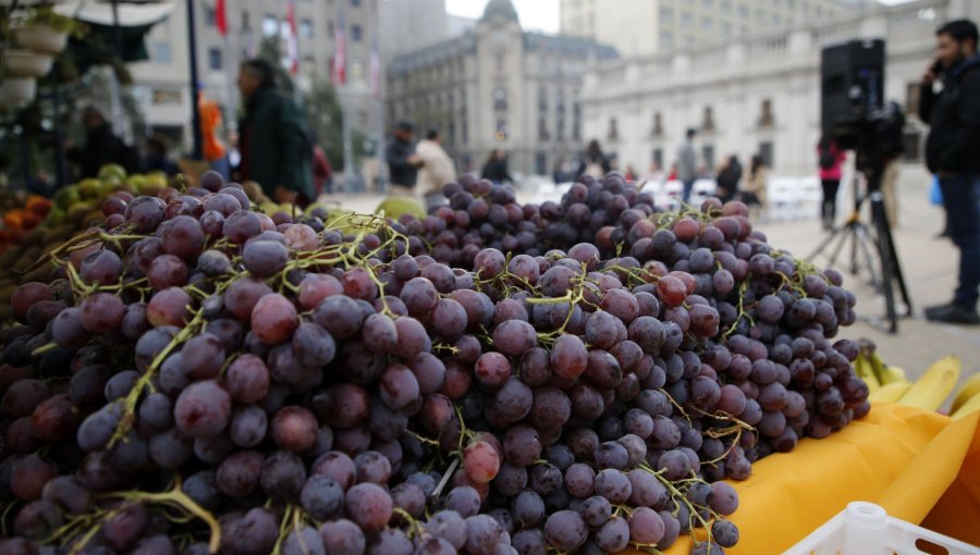 Perú desplaza a Chile y se convierte en el principal proveedor de uvas de EE.UU.