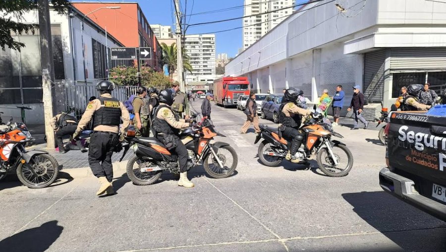 155 detenciones y más de 7.20 especies retiradas deja intensificación de las fiscalizaciones municipales en Viña del Mar