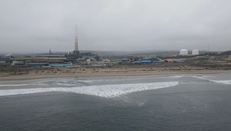 Publicación científica evidenció altos niveles de metales pesados en especies marinas de consumo humano en Quintero-Puchuncaví