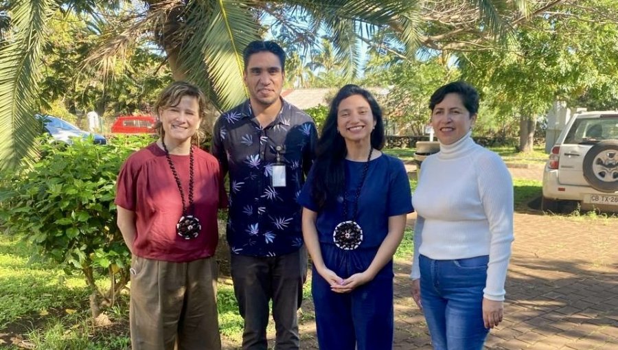 Seremi de Salud de Valparaíso refuerza en Rapa Nui acciones preventivas ante presencia del mosquito transmisor del dengue