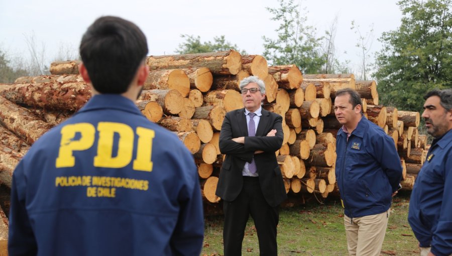 Desarticulan la mayor asociación delictiva dedicada al robo de madera en Ñuble: 17 detenidos y 40 vehículos incautados