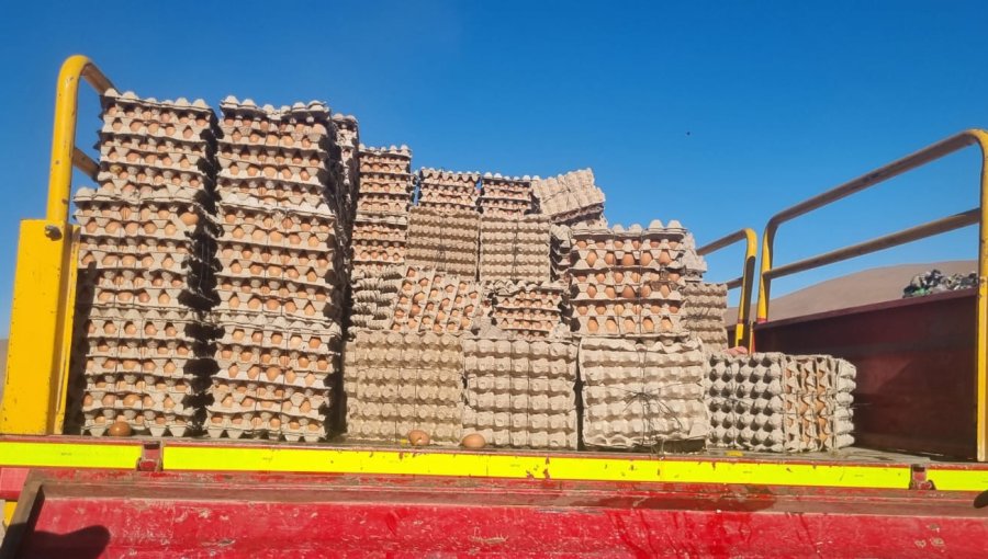 Carabineros incauta 72 mil huevos de contrabando en Tarapacá, el mayor decomiso registrado en la región