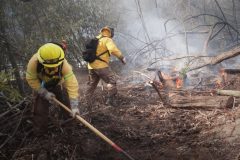 Conaf abre 596 cupos para reforzar sus brigadas de combate de incendios forestales en la región de Valparaíso