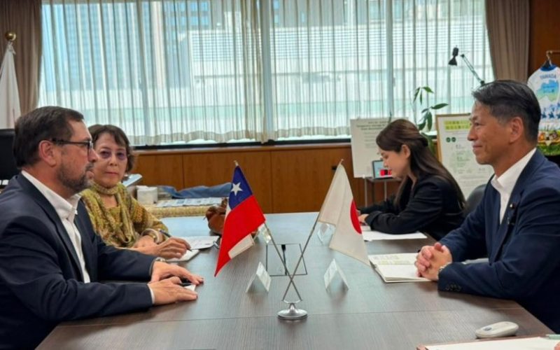 Canciller Pérez Mackenna aborda con Japón nuevas oportunidades comerciales e inversiones en Chile