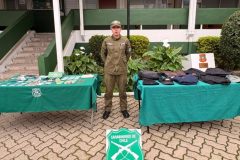 Pareja de delincuentes fue capturada tras asaltar a pasajeros de micro en Viña del Mar