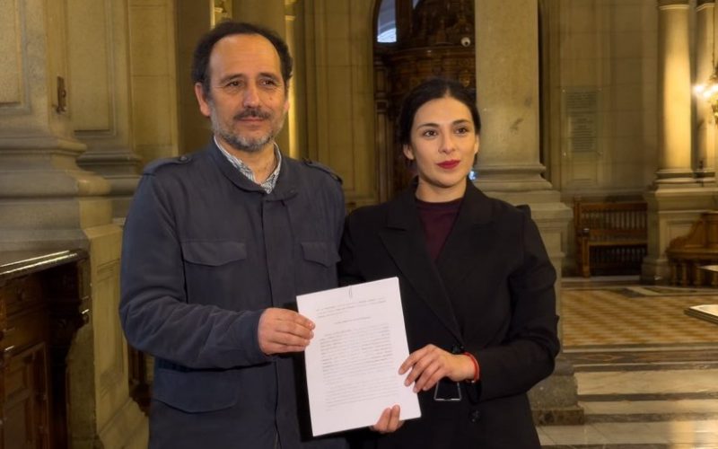 Senadores Cariola y Núñez acuden al TC para defender norma de reposición de servicios básicos de la megarreforma