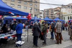 Salud municipal de Valparaíso realiza más de 200 atenciones gratuitas durante feria por el Mes del Corazón