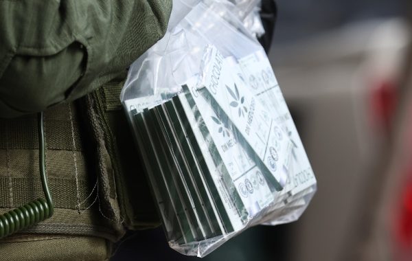 Fiscalía busca dejar en prisión preventiva a supuestos cabecillas del tráfico de marihuana en Operación Imperio Ámsterdam