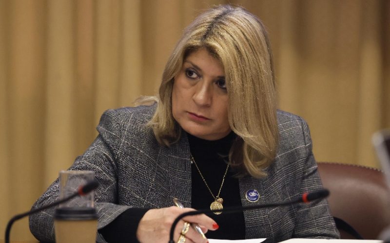 Diputada Parisi cuestiona exclusión del PDG en Comisión Nueva Arquitectura del Estado: "Todas las miradas deben estar sobre la mesa"