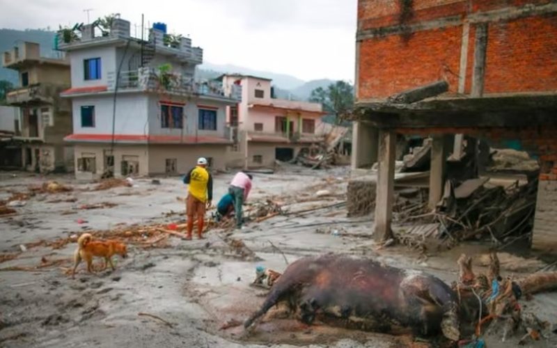 Ascienden a 750 los muertos por inundaciones en Nepal y China alerta de nuevo peligro