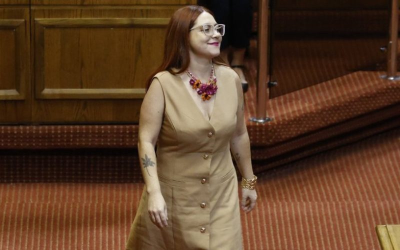 Diputada Francisca Bello se encuentra estable y fuera de riesgo vital tras complicaciones derivadas de su tratamiento oncológico