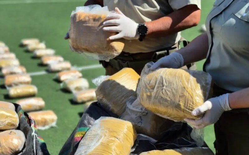 Incautan 700 kilos de drogas avaluadas en $4.500 millones durante procedimientos en Antofagasta