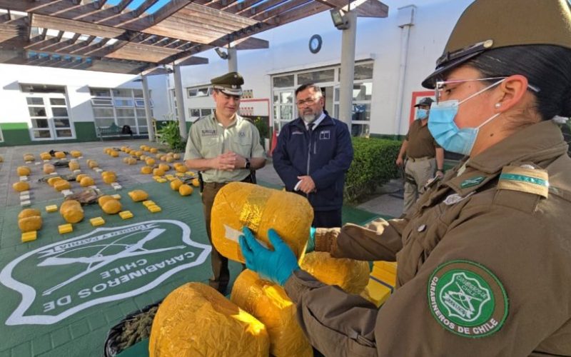 Incautan más de 250 kilos de drogas en la ruta 5 Norte a la altura de La Higuera: avalúo supera los $2.200 millones