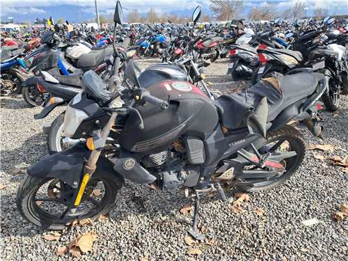 Municipio de Ñuñoa remata más de 180 motocicletas abandonadas en el Corral Metropolitano y sin precio mínimo