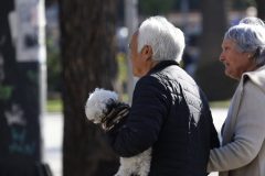 Aumento automático de la PGU llega a $250 mil y beneficia a más de 57 mil adultos mayores en la región de Valparaíso