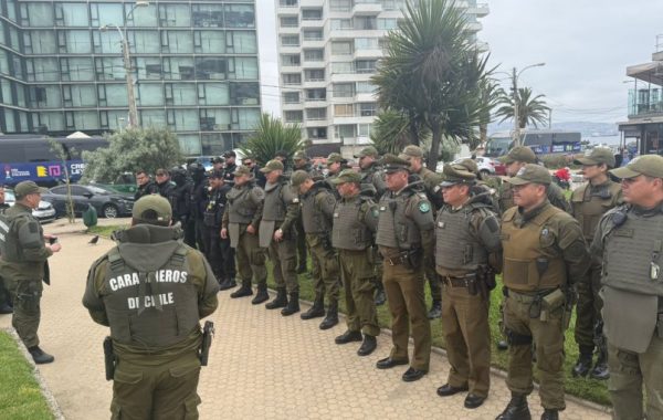 "Ronda Impacto" en el centro de Viña del Mar deja 12 detenidos y más de un centenar de especies decomisadas al comercio ilegal