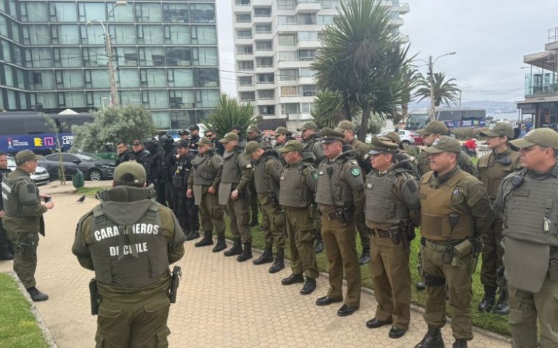 "Ronda Impacto" en el centro de Viña del Mar deja 12 detenidos y más de un centenar de especies decomisadas al comercio ilegal