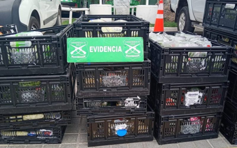 Encerrona a conductor de camión termina con ocho detenidos y recuperación de carga en San Bernardo