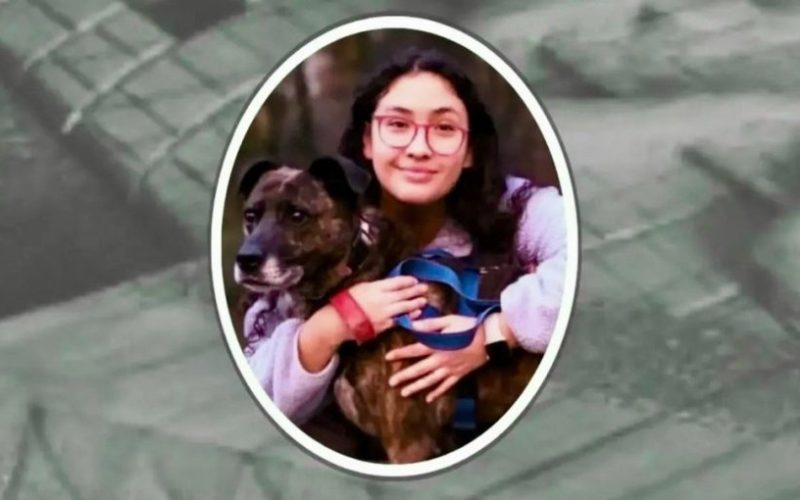 Impacto por muerte de veterinaria que denunció maltrato y acoso laboral en clínica de Viña del Mar