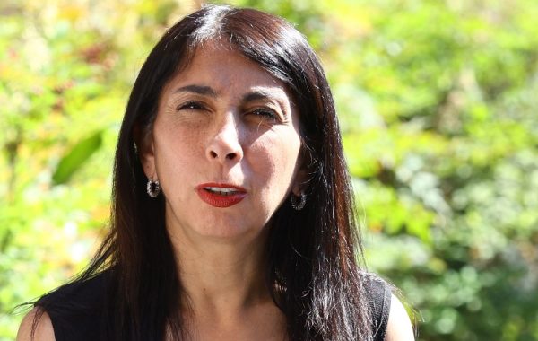 Rubilar valora idea de Briones y propone integrar pensiones, salud y prevención