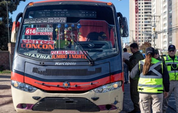 Colisión entre microbuses del transporte público en Concón: aseguran que conductor de línea 605 se habría dado a la fuga