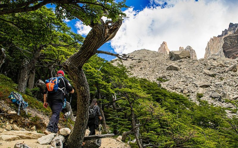 Conaf levanta exigencia de contar con guías en senderos del Parque Torres del Paine