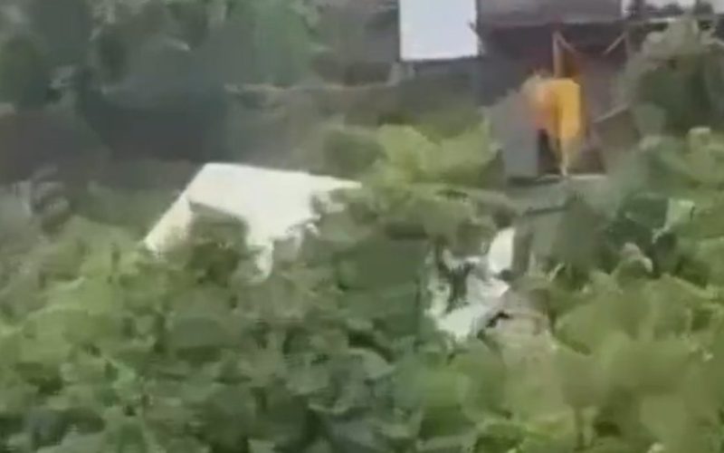 Desprendimiento de tierra causa el colapso de una casa en cerro Placeres de Valparaíso
