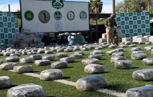 Incautan más de 1.749 kilos de marihuana durante un procedimiento desarrollado en la ruta 5 Norte