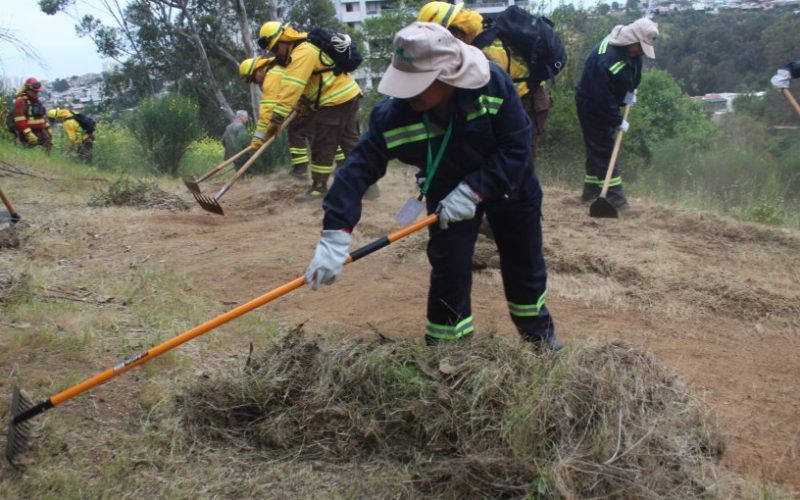 Conaf suma 331 nuevos empleos para reforzar prevención de incendios forestales en 19 comunas de la región de Valparaíso