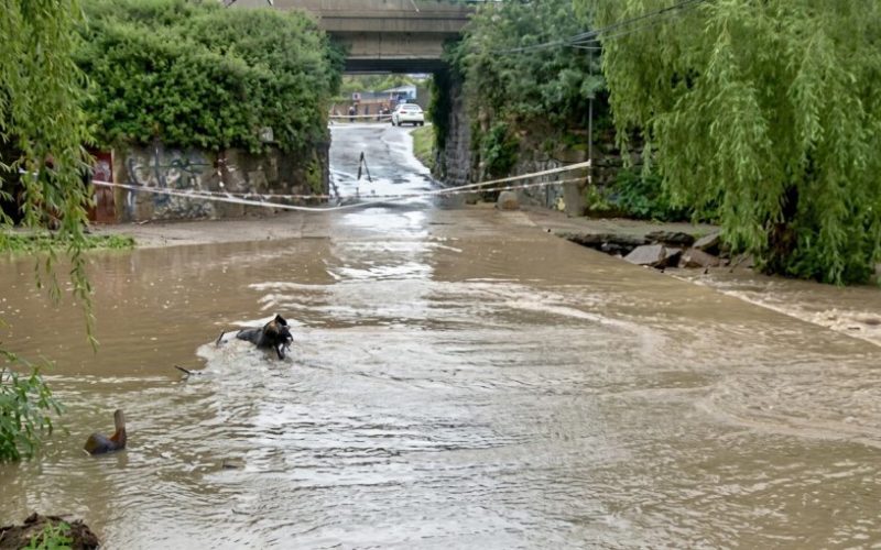 Desborde del estero de Quilpué vuelve a encender las alarmas en el marco del temporal