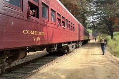 Éxito de ventas obliga al Tren del Recuerdo a desplegar sus nueve coches para viaje entre Limache y Ritoque