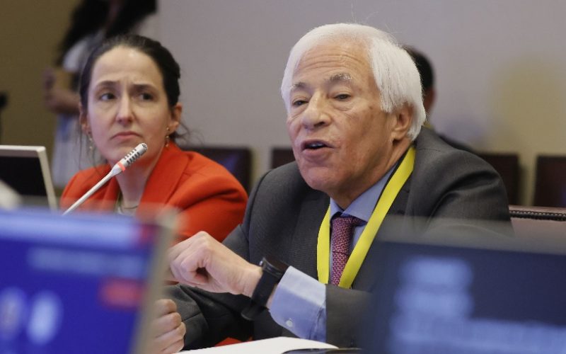 Superintendente de Pensiones defiende medidas ante millonarias pérdidas del fondo E